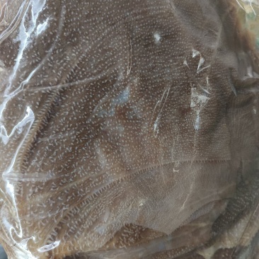 西皮毛肚，精品货源，品质保障，量大从优，欢迎咨询
