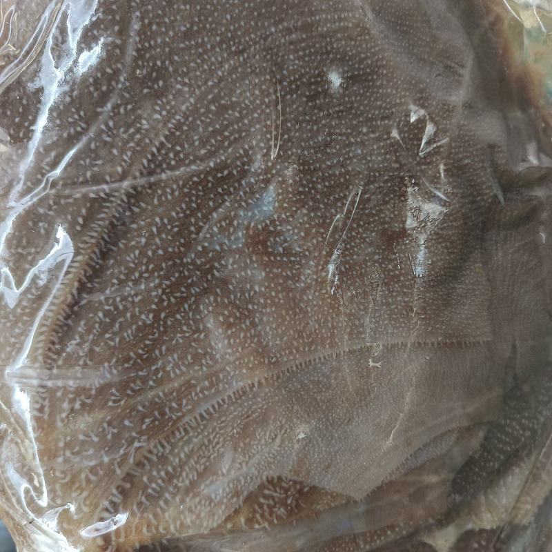 西皮毛肚，精品货源，品质保障，量大从优，欢迎咨询