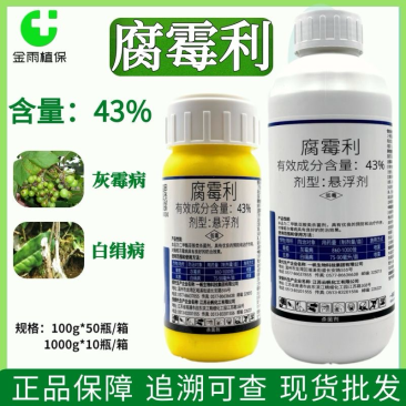 一帆43%腐霉利悬浮剂葡萄灰霉病白绢病农药杀菌剂现货包邮