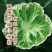 菜花苗青梗散花小米粒苗厂直供，发货方便，破损