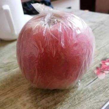 冠县富士大量供应