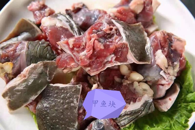 四川成都鲜冻甲鱼老鳖全国发售欢迎客户前来采购看货