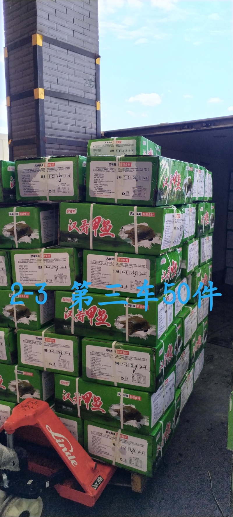 四川成都鲜冻甲鱼老鳖全国发售欢迎客户前来采购看货