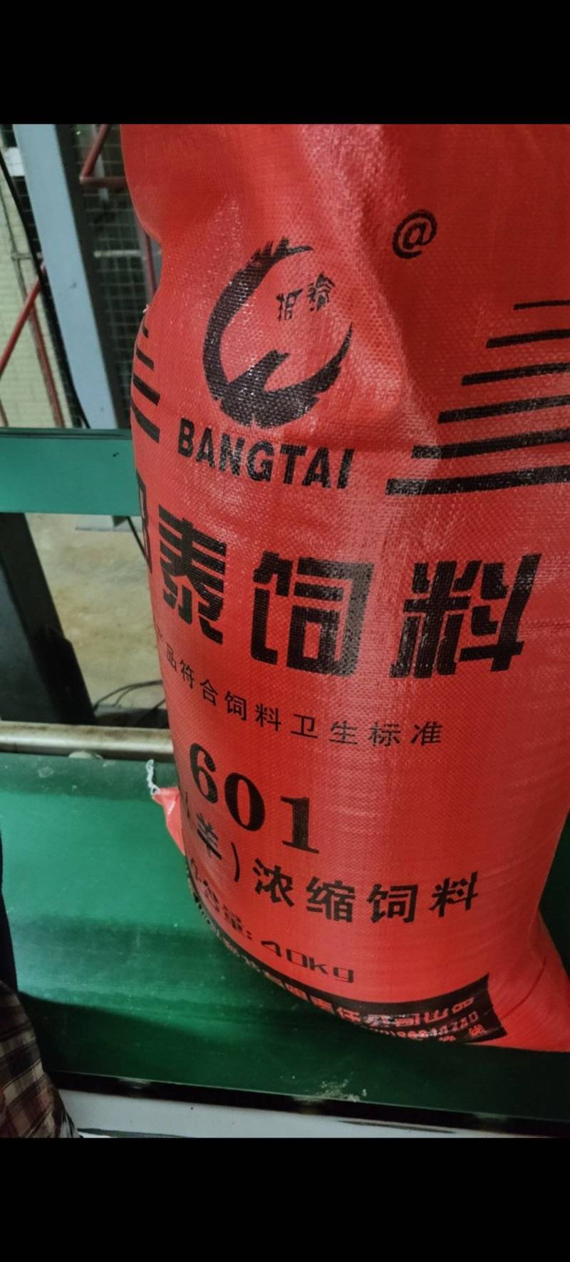 601肉牛羊浓缩料，肉牛羊浓缩料厂家直销