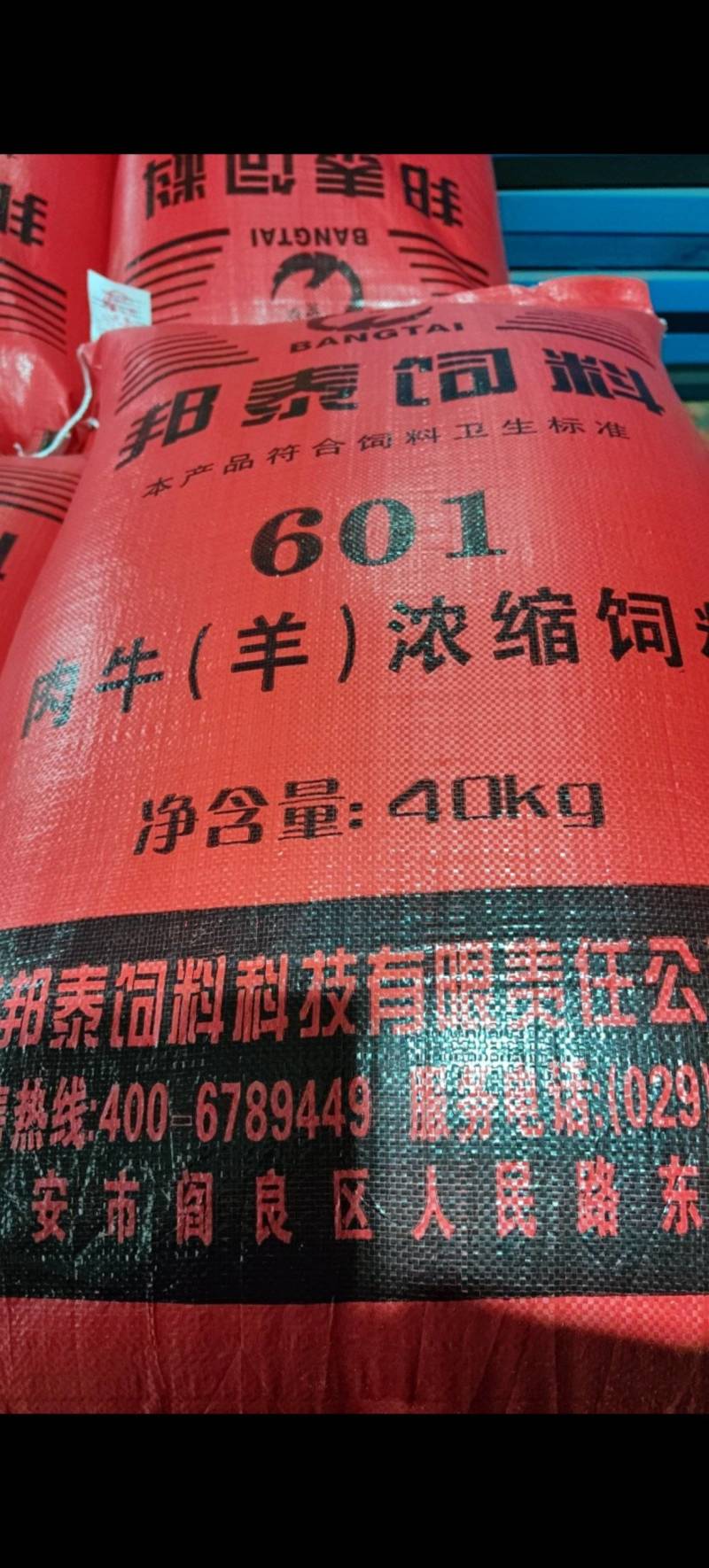 601肉牛羊浓缩料，肉牛羊浓缩料厂家直销