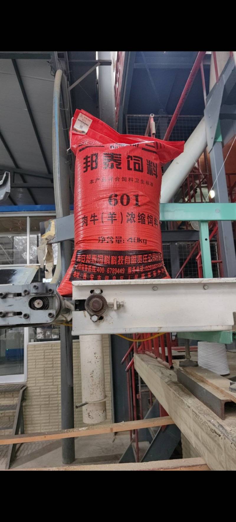 601肉牛羊浓缩料，肉牛羊浓缩料厂家直销