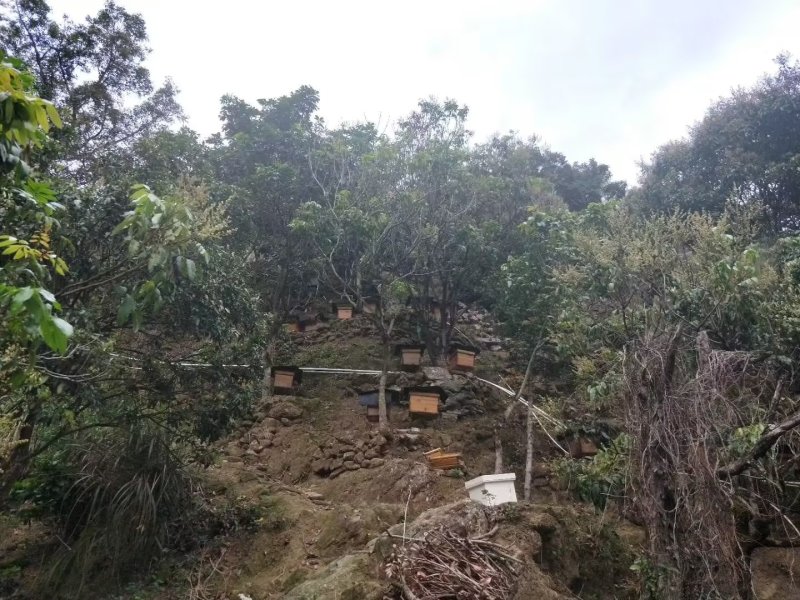 百花蜜农民山下养的正宗蜂蜜，浓度高，***。