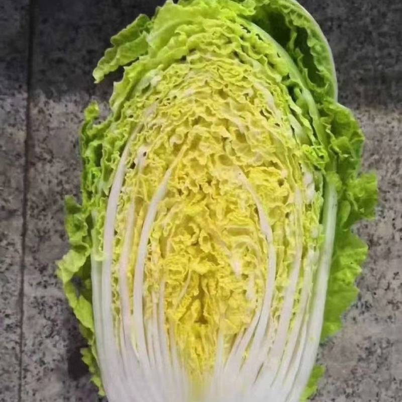 黄心大白菜一手货源菜园直发价格优惠量大可电话议价欢迎联系