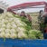 黄心大白菜一手货源菜园直发价格优惠量大可电话议价欢迎联系