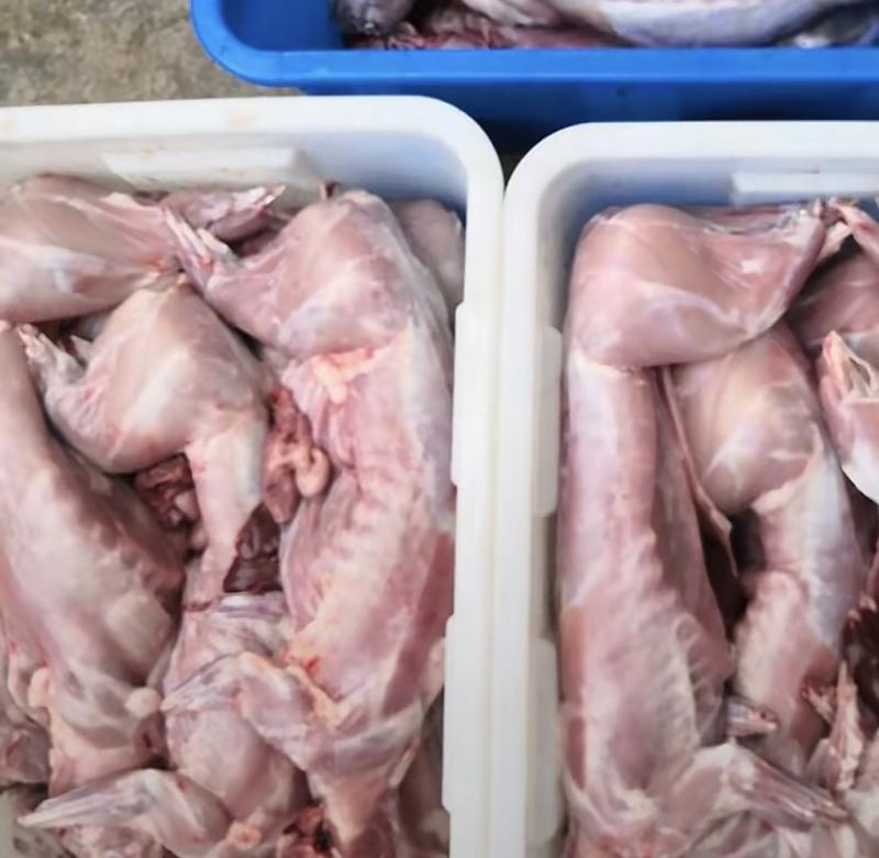 银川精品兔子肉，产地直发，保质保量，欢迎老板选购