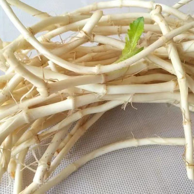 【优质推荐】鱼腥草根产地一手直发看货论价全国发货！