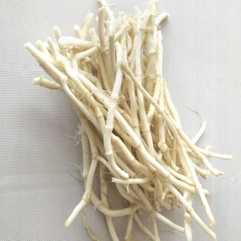 【优质推荐】鱼腥草根产地一手直发看货论价全国发货！