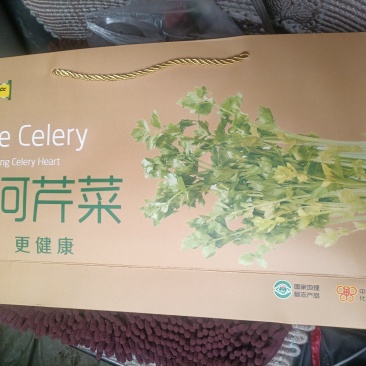 桂河芹菜