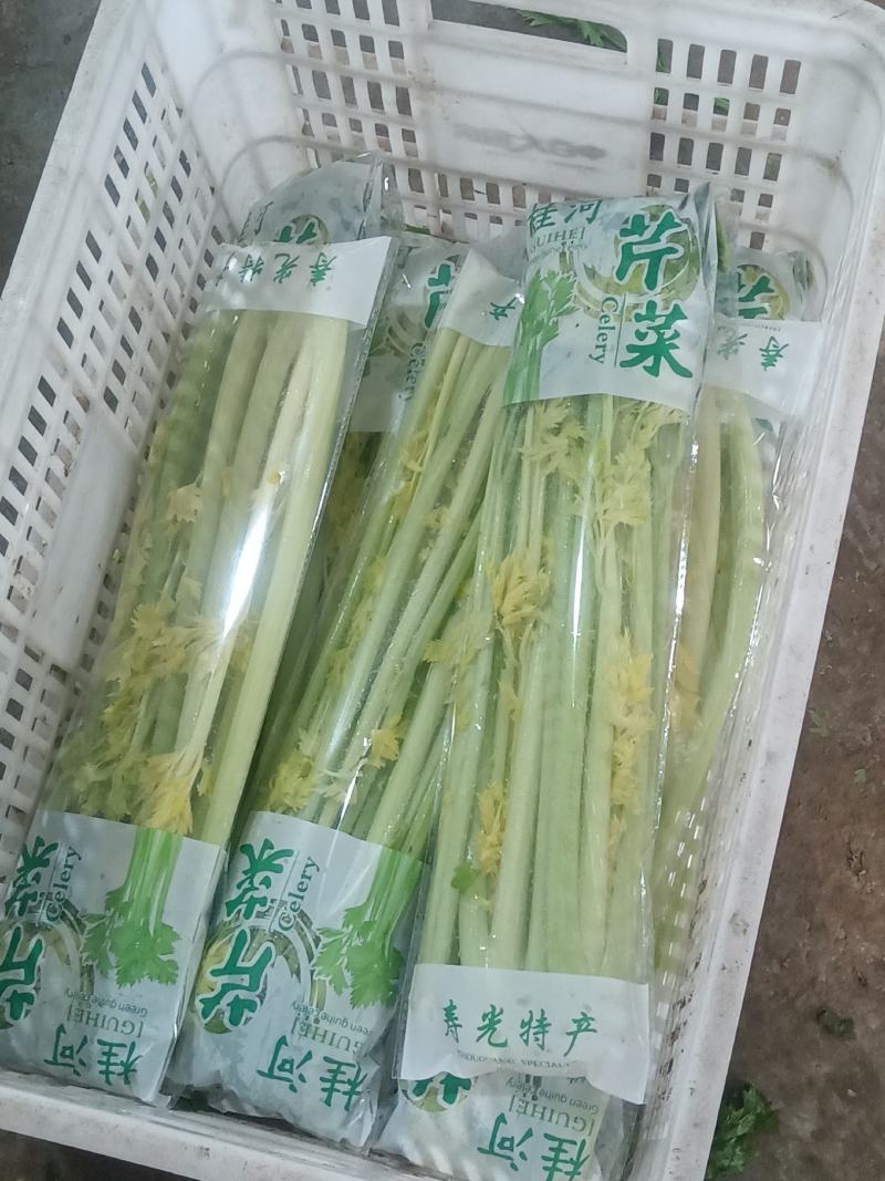 桂河芹菜