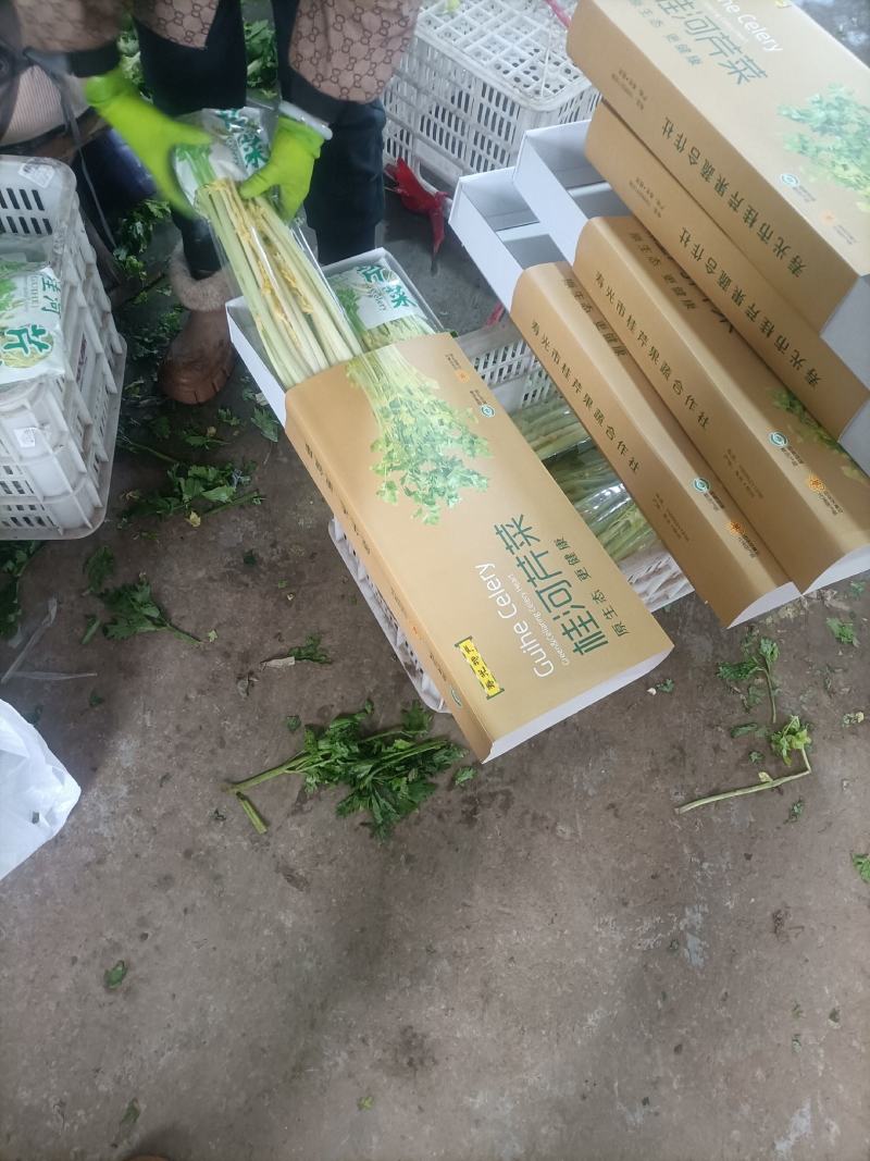 桂河芹菜