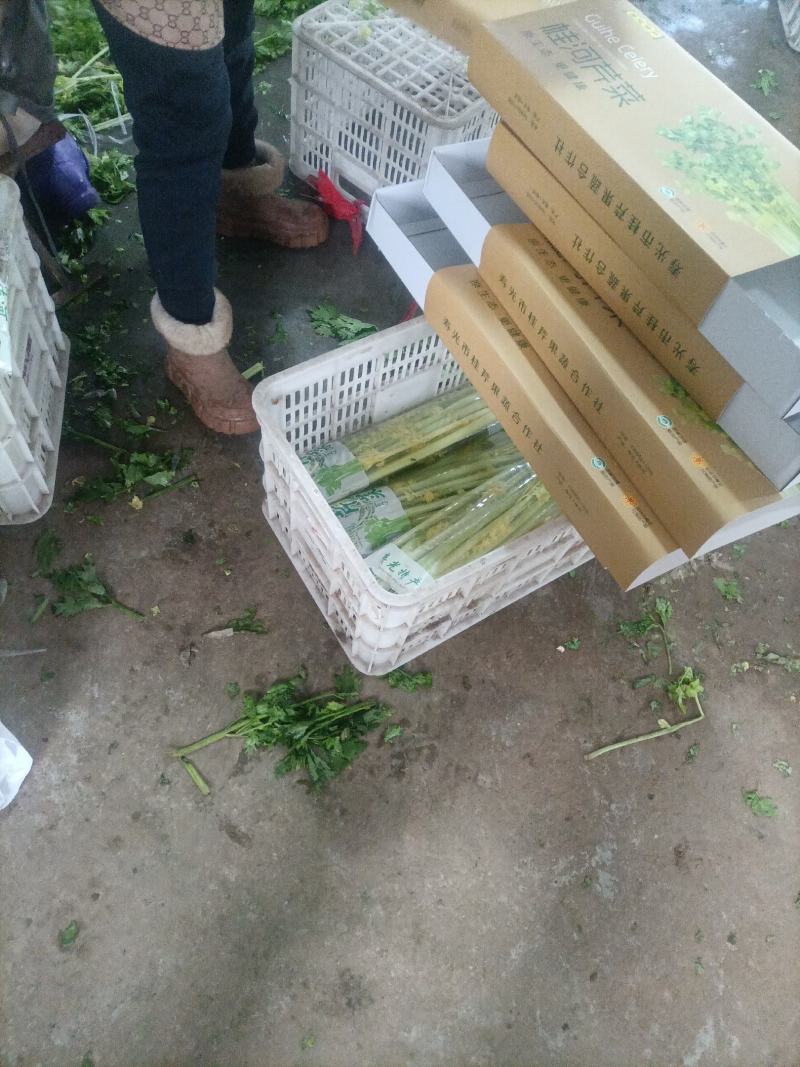 桂河芹菜