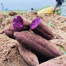 河北精品紫薯大量现货产地直发供应商超市场电商