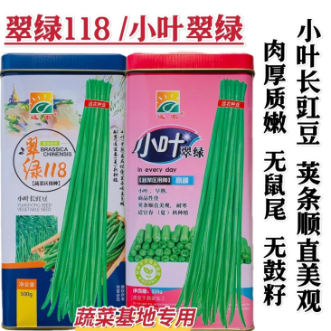 翠绿118豇豆种子嫩绿条小叶长豆角种子高产双荚率早熟