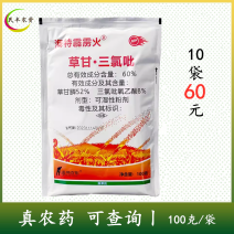 霹雳火草甘膦三氯吡氧乙酸荒地