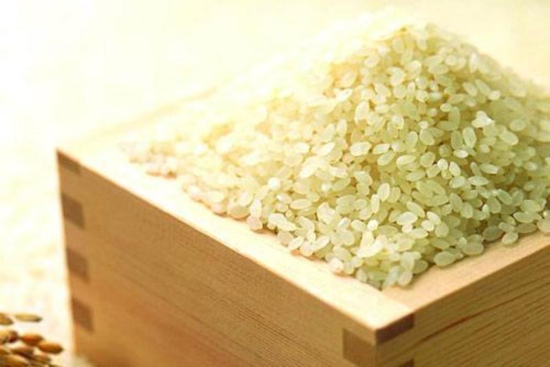黄河春米精品10斤装精品大米量大价优价格来电详谈