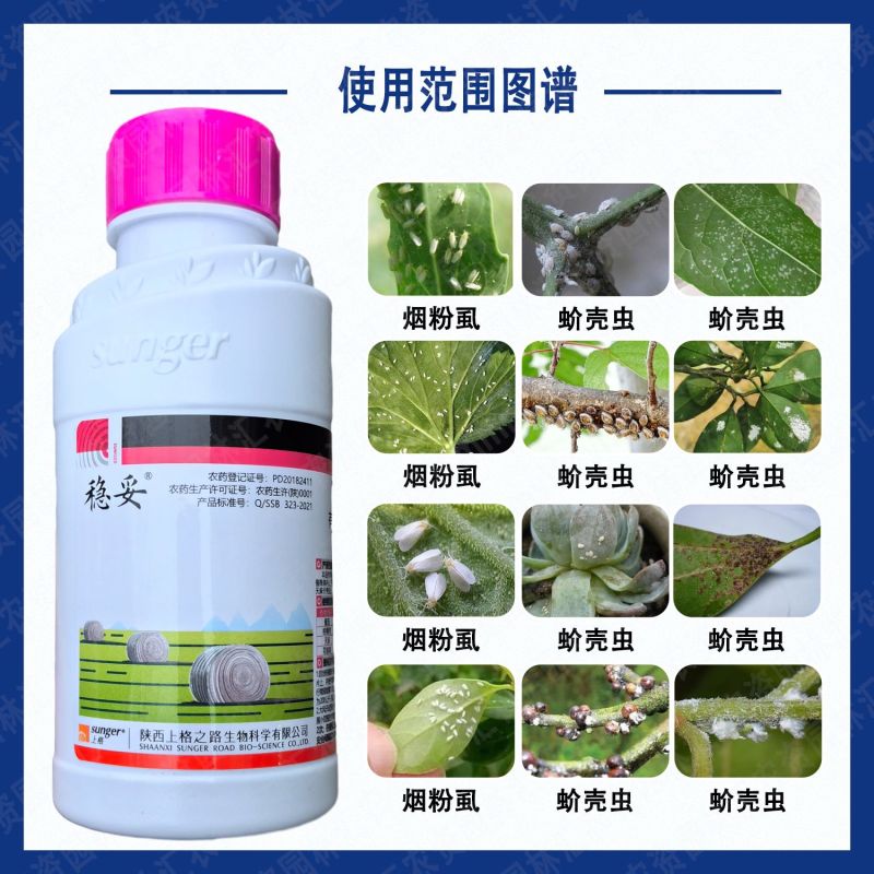上格稳妥22.4螺虫乙酯柑橘花椒树介壳虫番茄烟粉虱专用农
