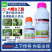 上格稳妥22.4螺虫乙酯柑橘花椒树介壳虫番茄烟粉虱专用农