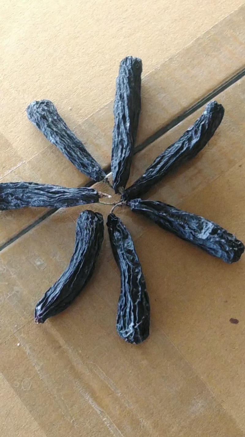 新疆蓝宝石葡萄干又称美人指葡萄干，葡萄界的爱马仕。
