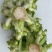 儿菜（大心子，基地直销）