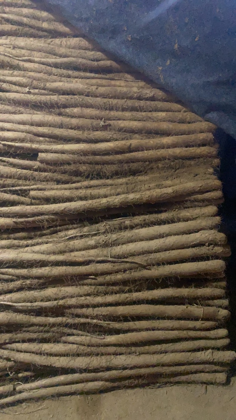 运城闻喜白玉山药