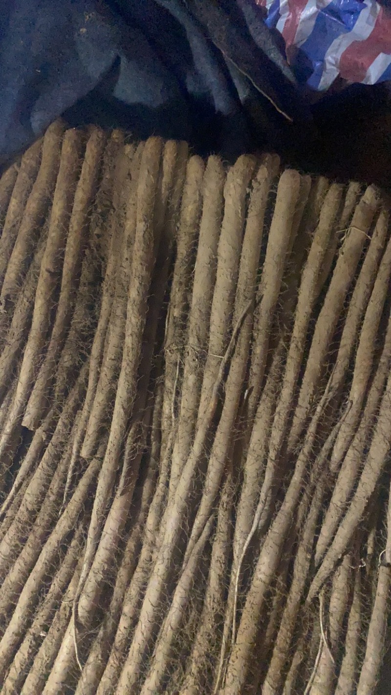 运城闻喜白玉山药