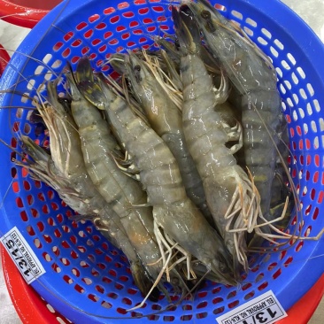 黑虎虾