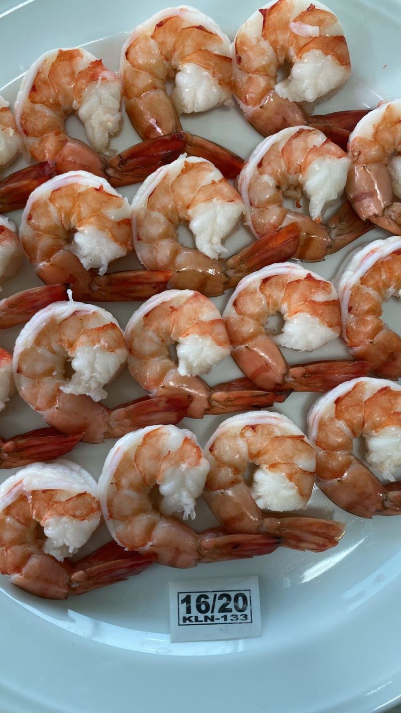 黑虎虾