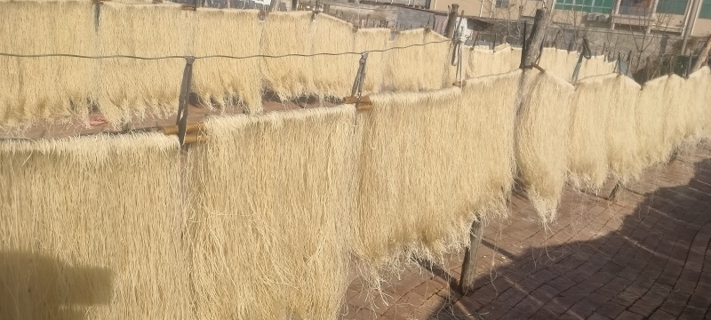 红薯粉条