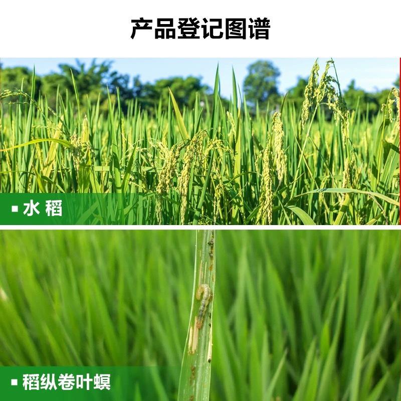 曹达10%阿维菌素水稻稻纵卷叶螟农用杀虫剂渗透触杀农药