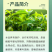 一帆卫青40%苯醚甲环唑悬浮剂炭疽病叶斑病农药杀菌