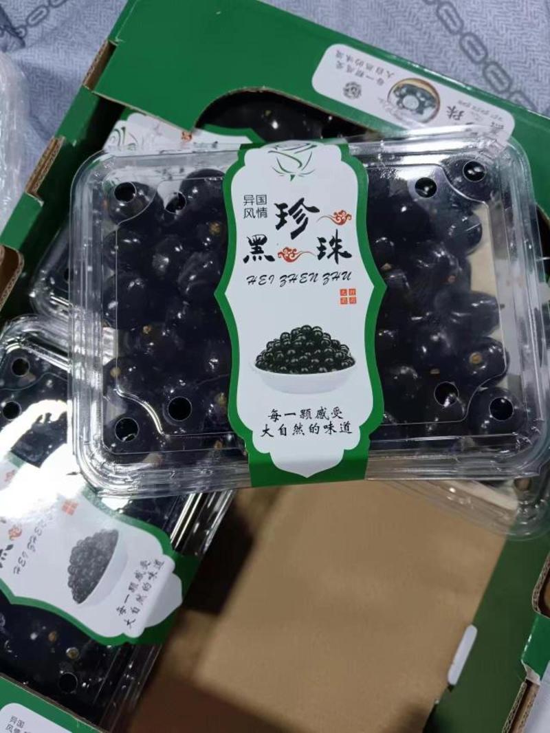 北京房山直发树葡萄，嘉果宝，大量有货，对接全国量大从优