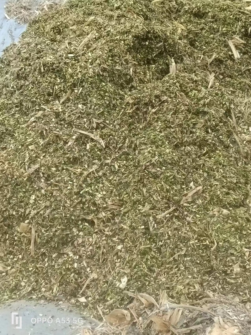 黄储大白包单包重量800斤