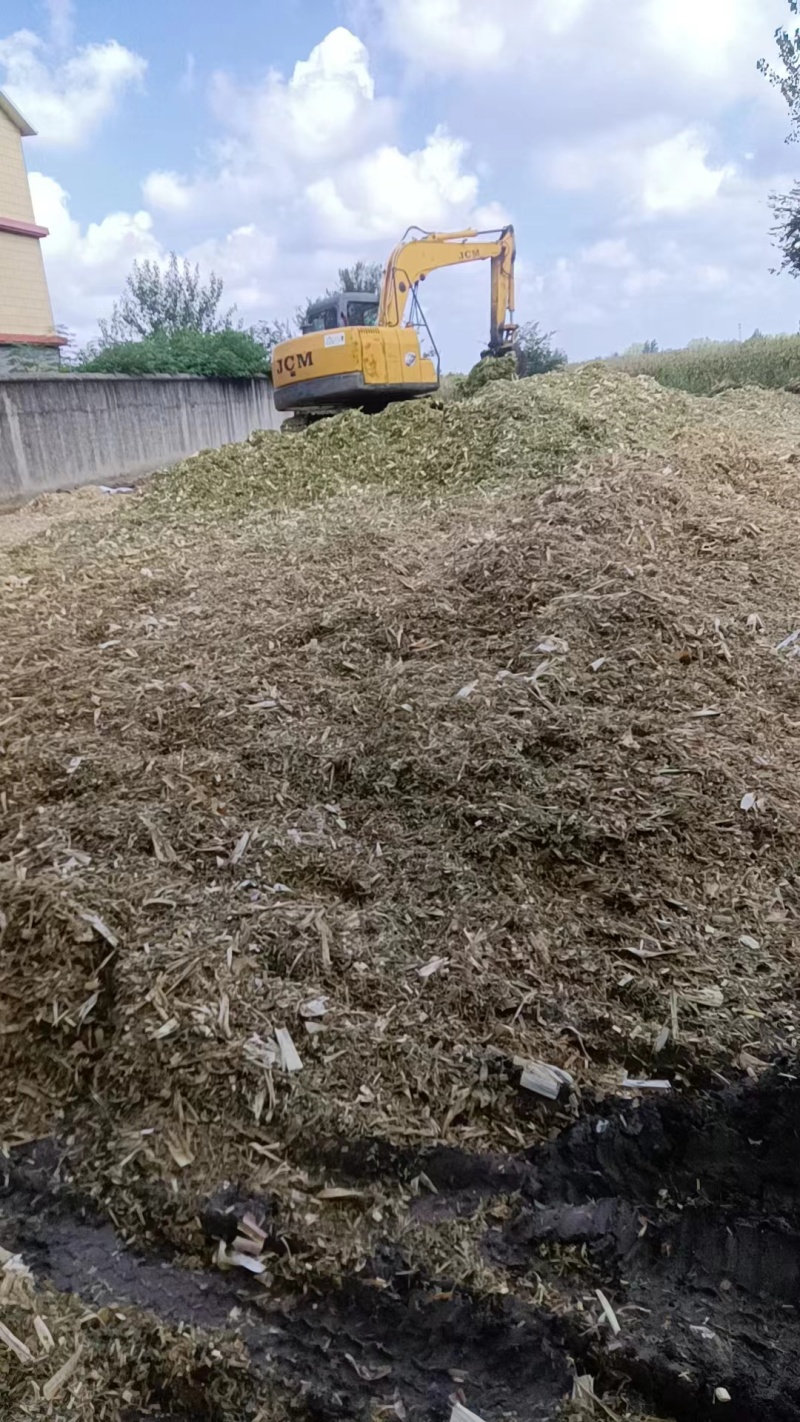 黄储大白包单包重量800斤