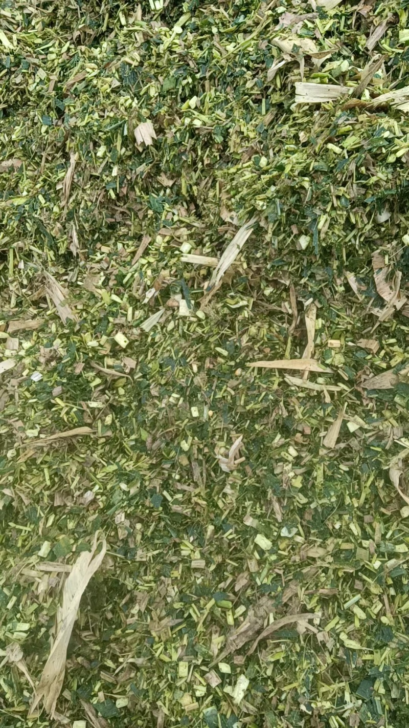 黄储大白包单包重量800斤
