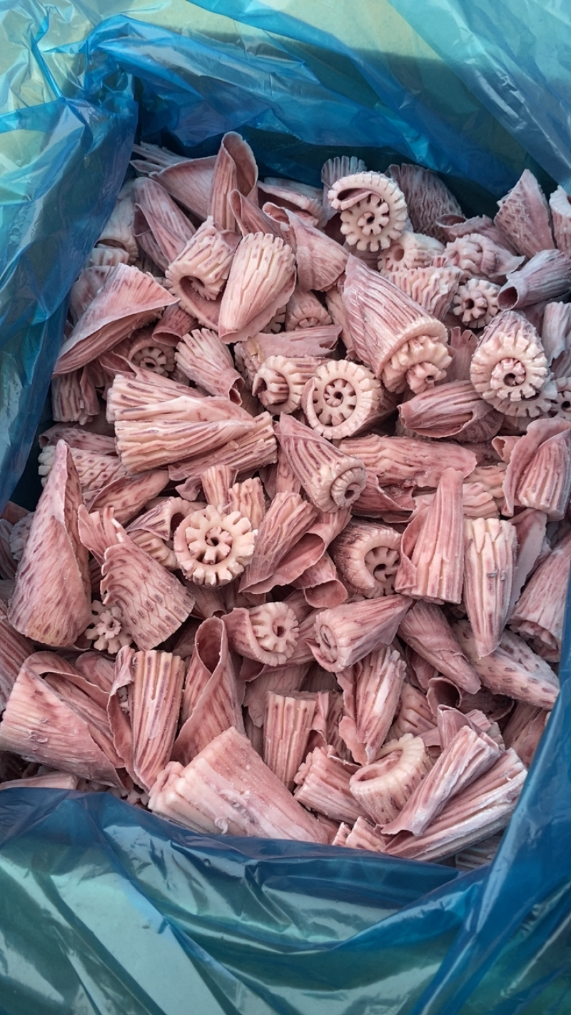 无冰鱿鱼花牛角花鱿鱼系列尤鱼原汁鱿鱼花鱿鱼须鱿鱼头鱿鱼尖