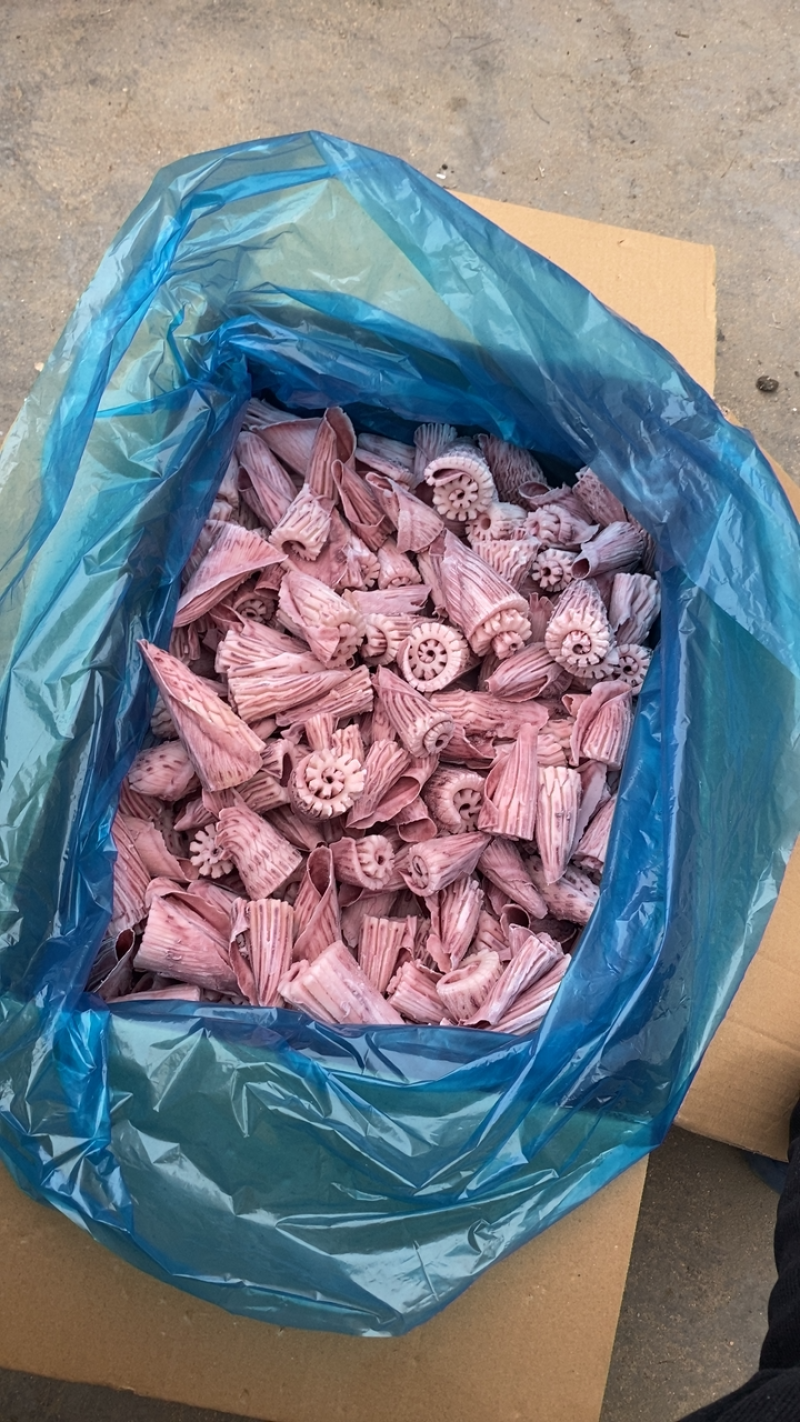 无冰鱿鱼花牛角花鱿鱼系列尤鱼原汁鱿鱼花鱿鱼须鱿鱼头鱿鱼尖