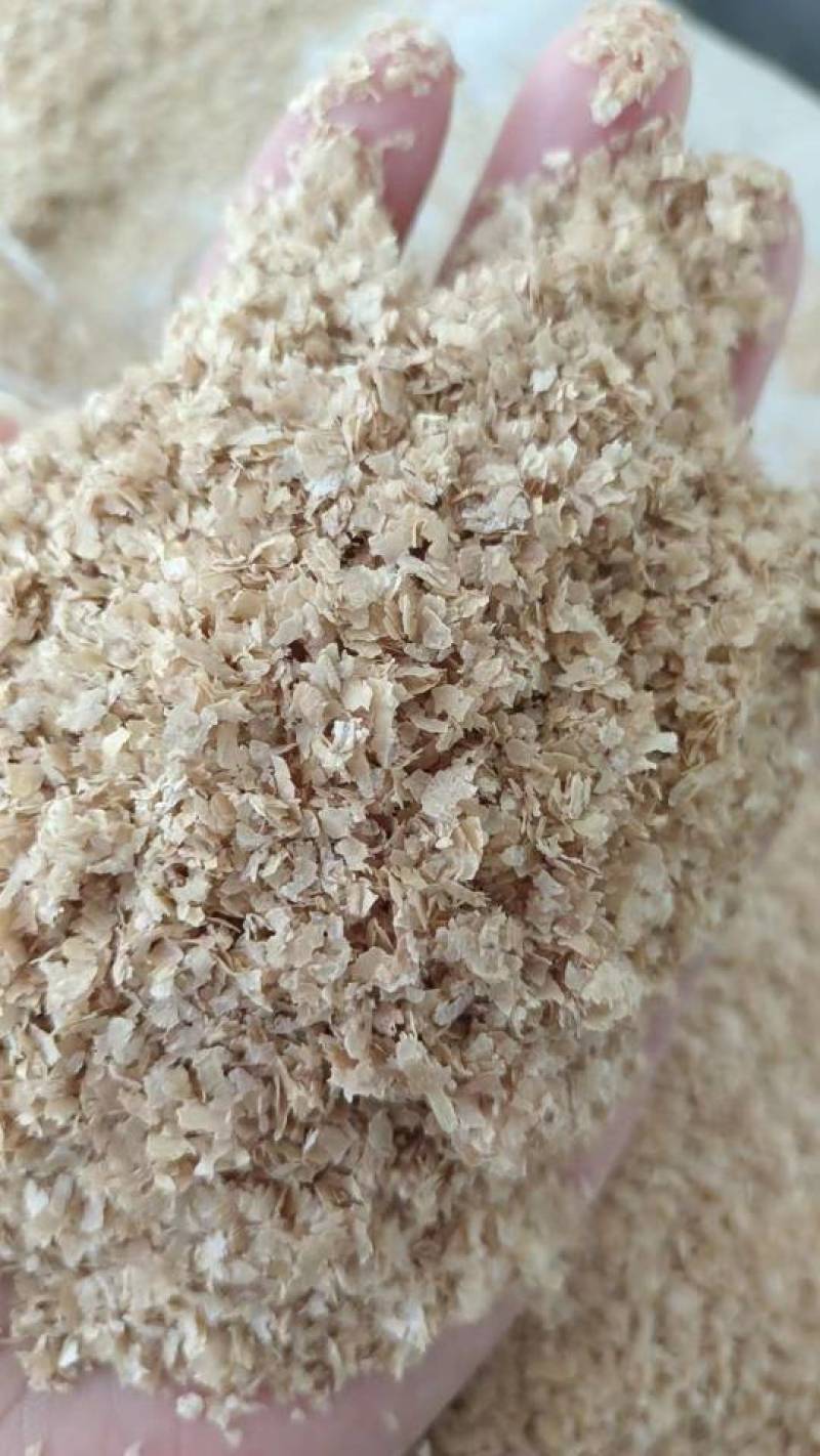 精品麸皮，厂家直供，价格合适，量大从优
