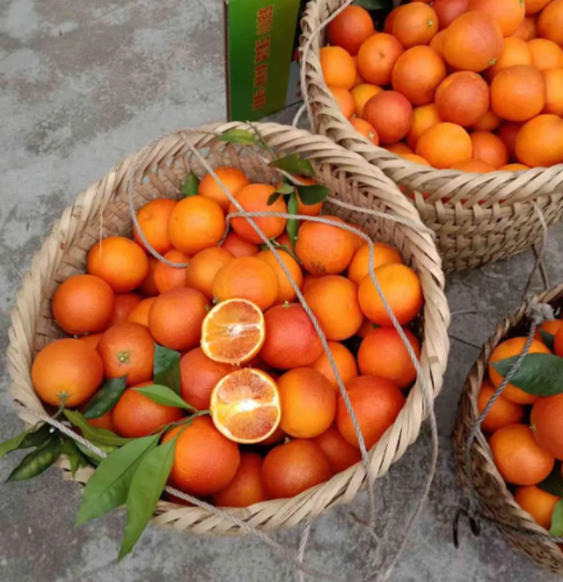 湖南麻阳【塔罗科血橙】橙子对接电商市场商超等各类客户