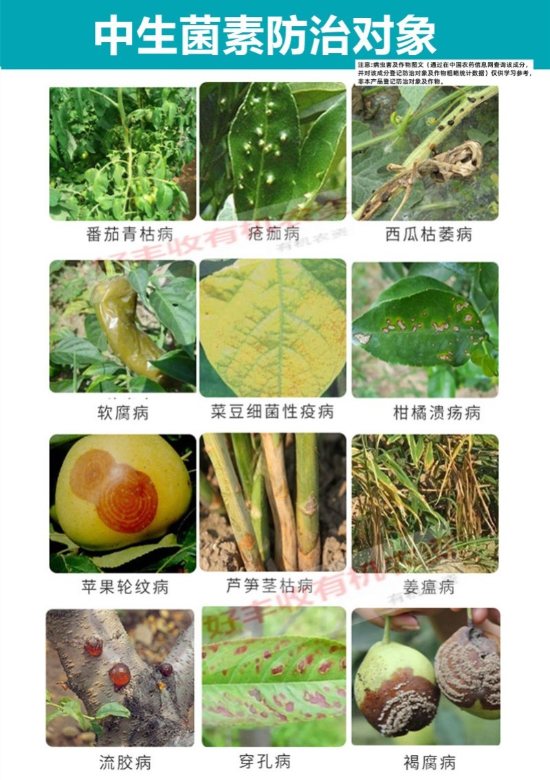 细星中生菌素细菌性角斑病溃疡病穿孔病软腐病农药杀菌剂