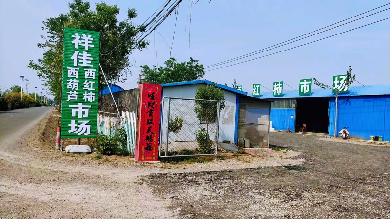 【绿皮西葫芦，消费者满意单位】以质论价，实现共赢！！！