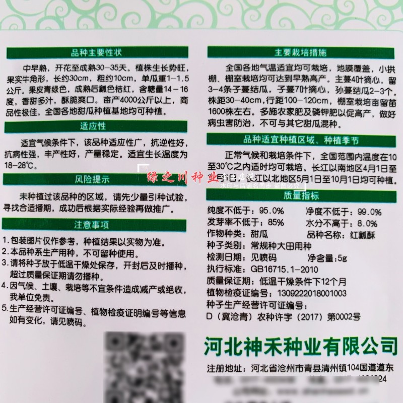 薄皮红瓤酥甜瓜种子基地菜园水果香甜多汁酥脆爽口酥瓜种子