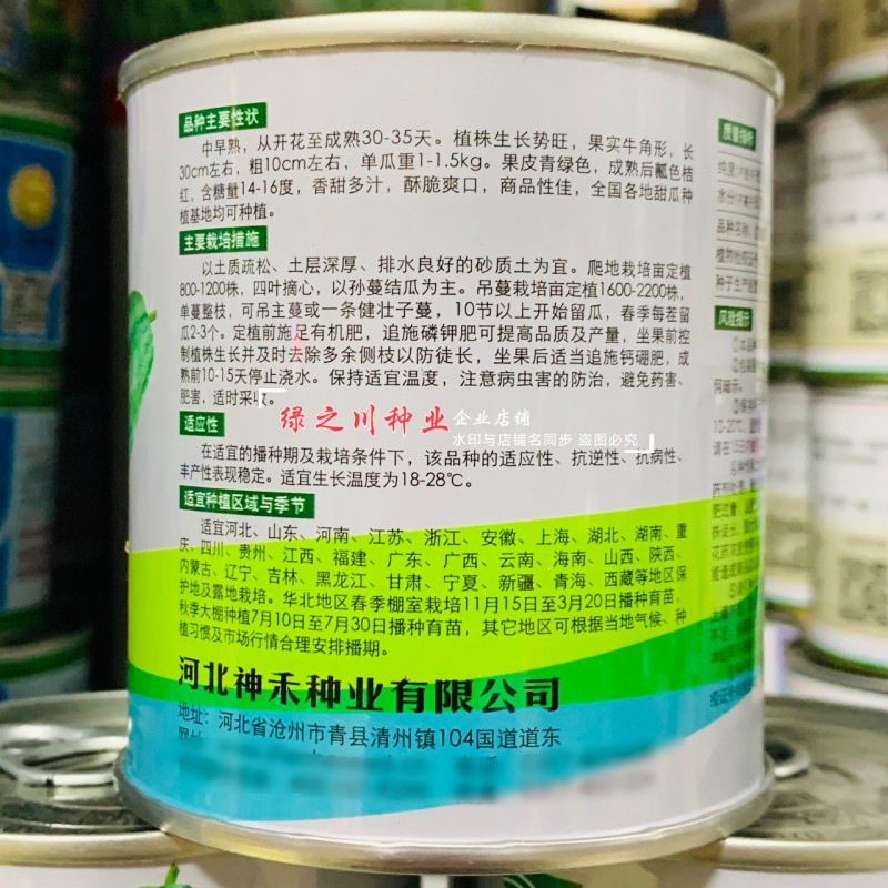 薄皮红瓤酥甜瓜种子基地菜园水果香甜多汁酥脆爽口酥瓜种子