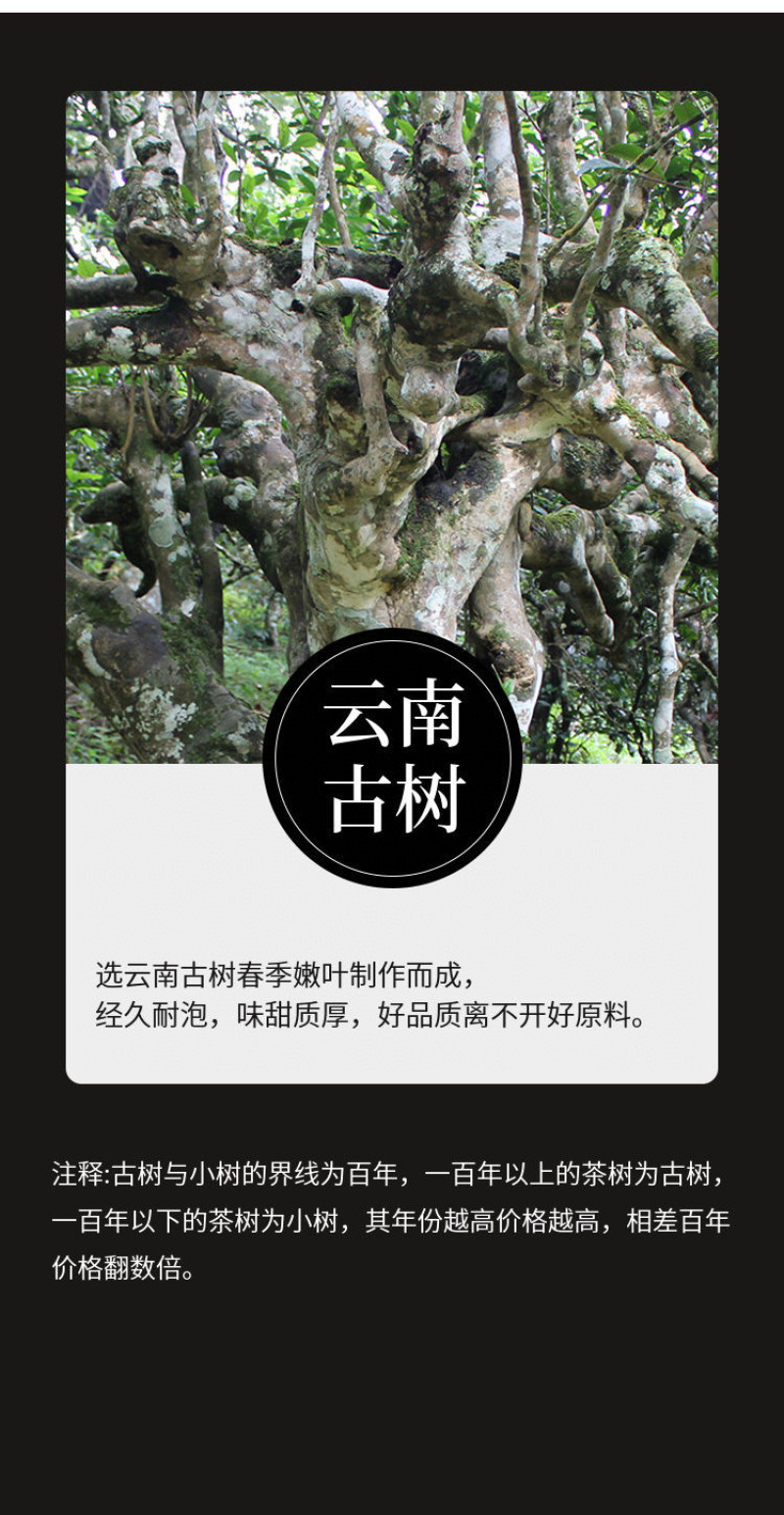 多档）1斤糯米香碎银子老茶头云南普洱茶茶化石熟茶礼盒