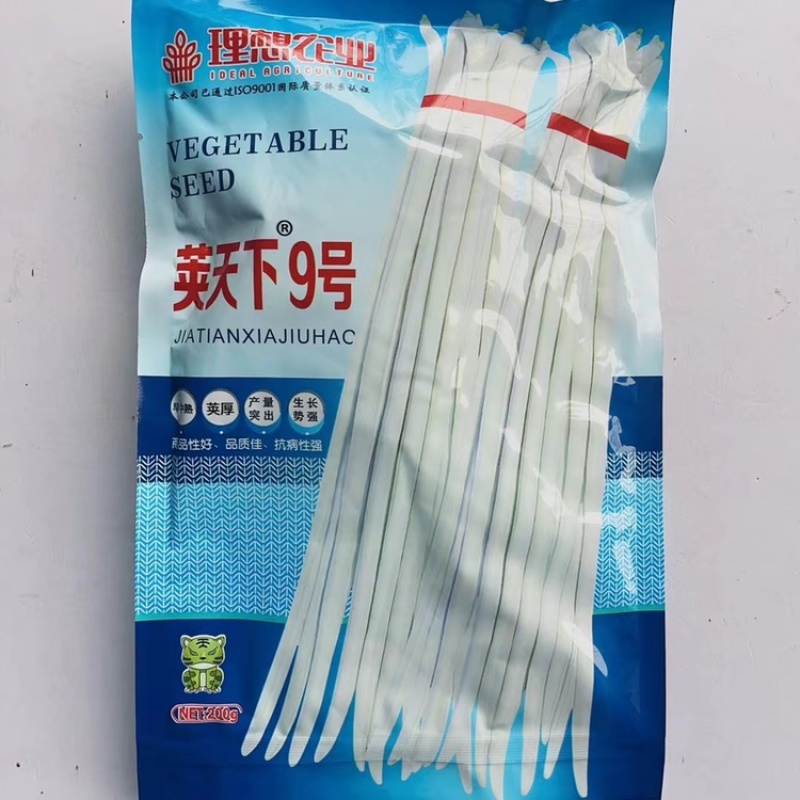 荚天下9号早中熟白豇豆长豆角种子高产豇豆蔬菜种子抗热