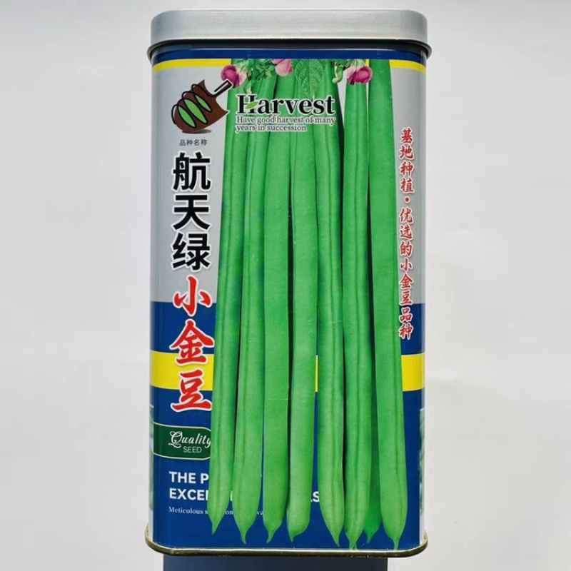 航天绿小金豆种子加长早中熟露天大棚种子四季豆种子